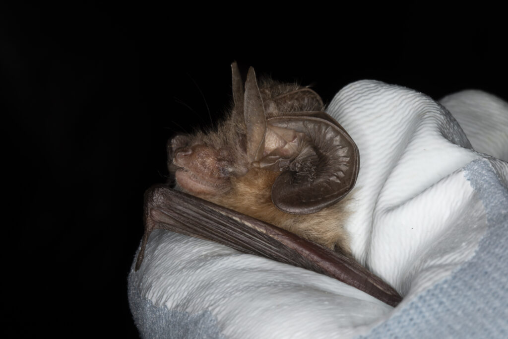 New research from 2025 so far